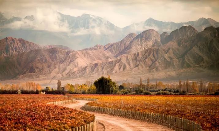 Mendoza 3